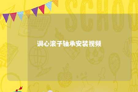 调心滚子轴承安装视频 