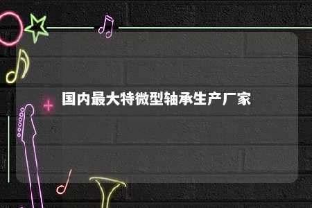 国内最大特微型轴承生产厂家 