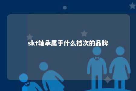 skf轴承属于什么档次的品牌 