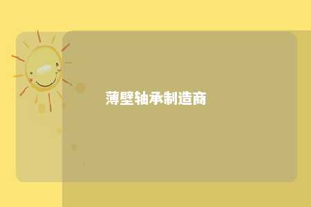 薄壁轴承制造商 