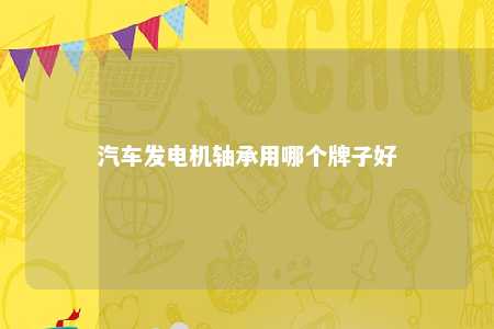 汽车发电机轴承用哪个牌子好 