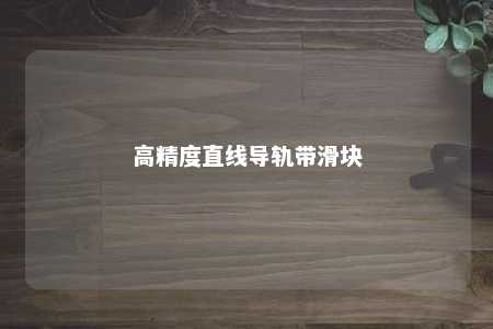 高精度直线导轨带滑块 