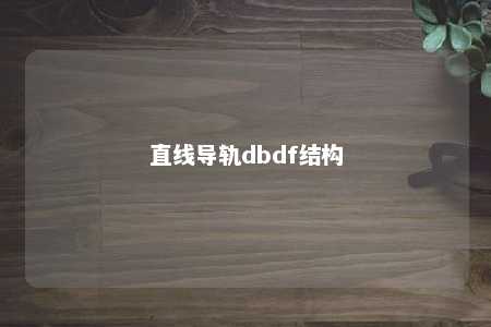 直线导轨dbdf结构 